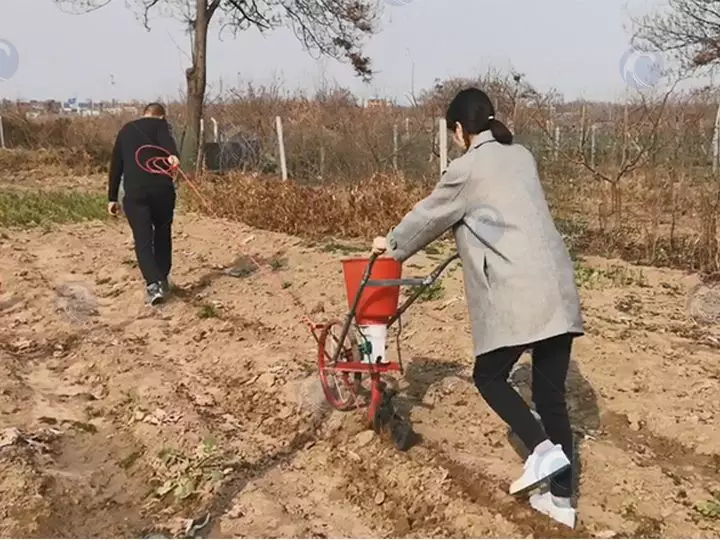 Hand Corn Planter Machine