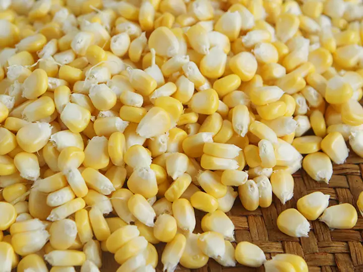 Fresh Corn Kernels