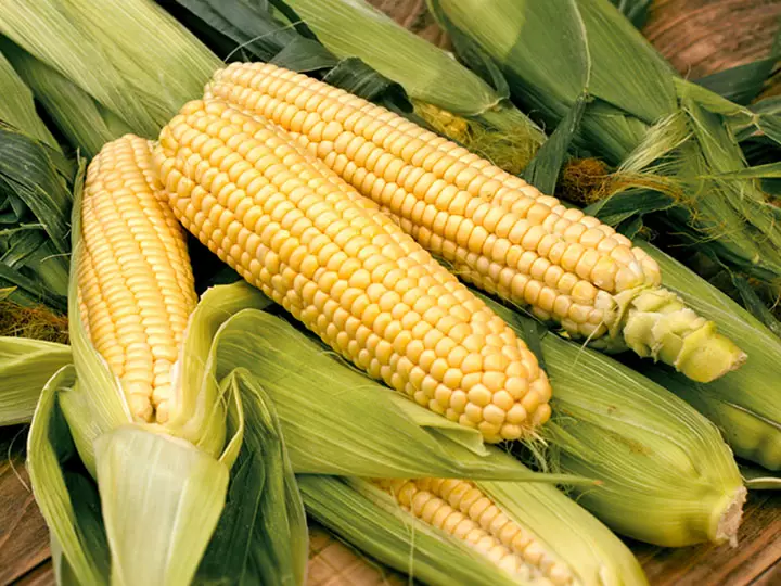 Sweet corn planting points