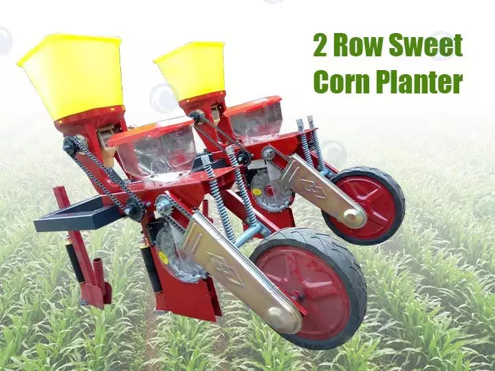 2 Row Sweet Corn Planter | Sweet Corn Seeder
