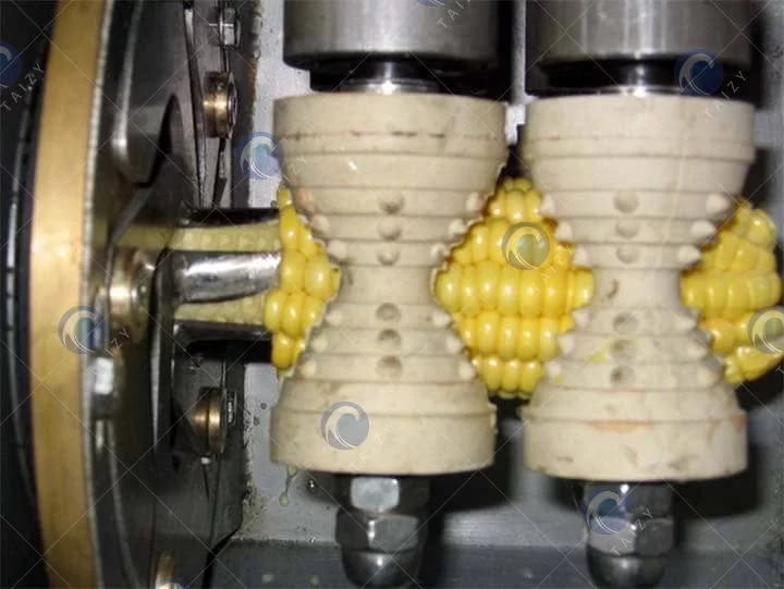 Proceso de descascarado de maíz fresco